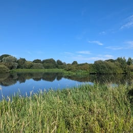 Afternoon walk around the lakes at...