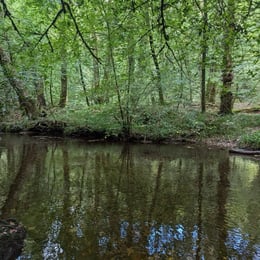 Sunday afternoon walk along the...