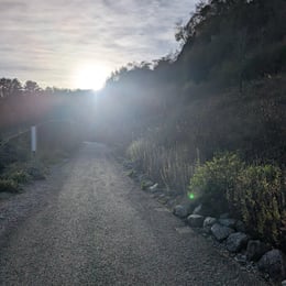 Sunset walk at Eden Project,...