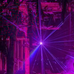 Christmas Lights Experience at Eden...