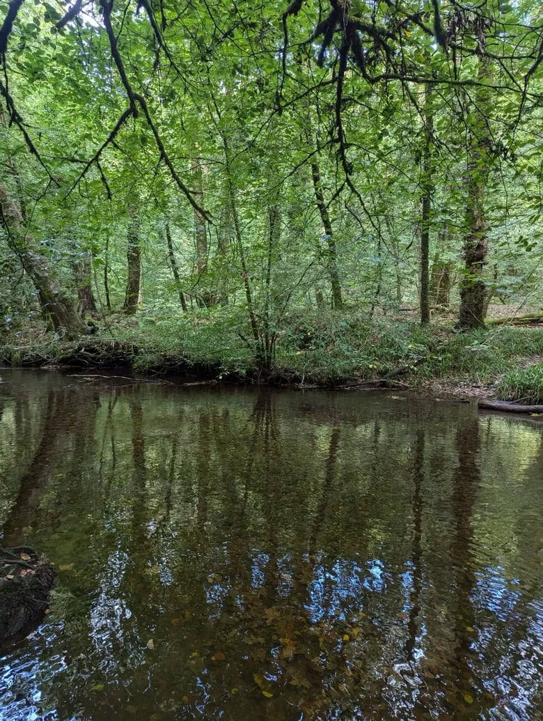 Lydford Gorge, Devon