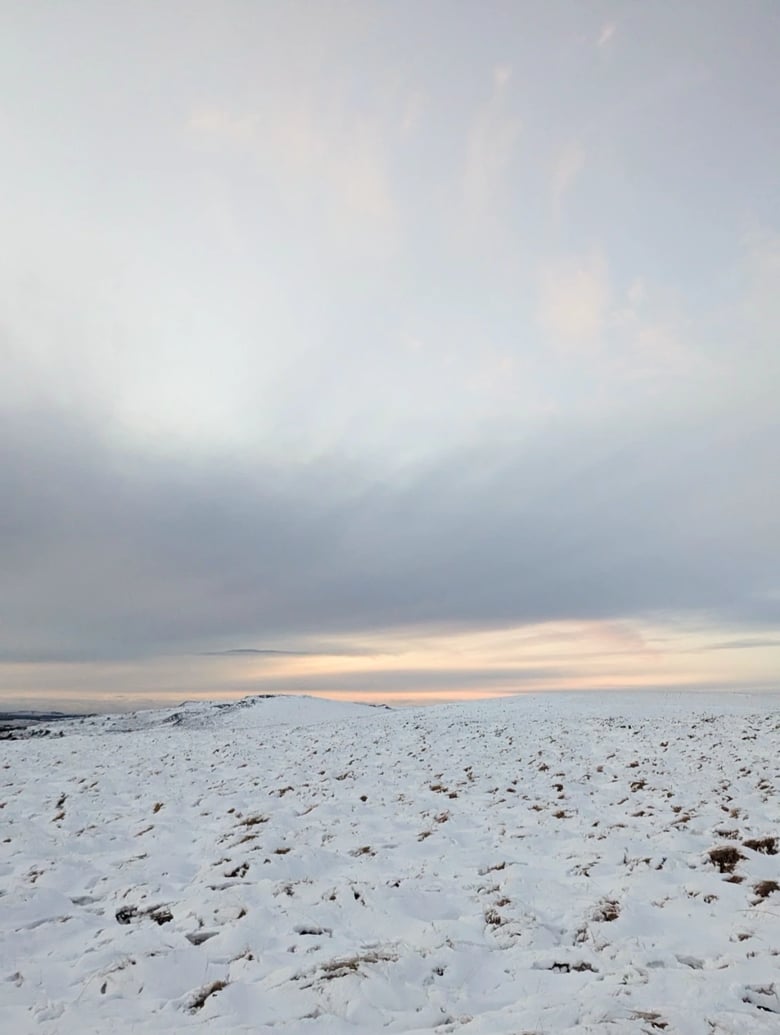 An evening photo across moors on Dartmoor National Park, Devon. The ground is covered in snow. Small patches of grass and gorse can be seen breaking through the snow. The sky has light grey cloud. On the horizon is a light pink/yellow glow from the sunset.