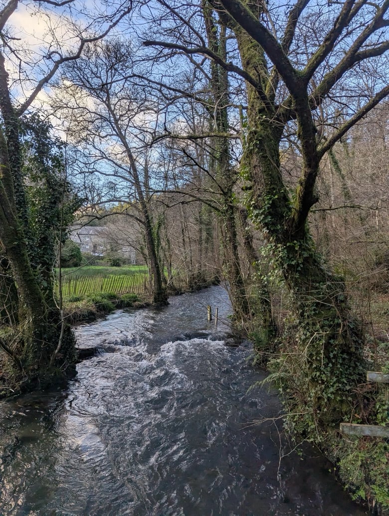 A photo of a small river edged by trees. Between the trees is a blue sky. A short distance away, through the trees, an old mill house can be seen.
