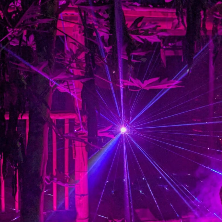 A photo of purple/blue laser lights in all directions, emanating from a central point. Taken at Eden Project Christmas Lights Experience, Cornwall.